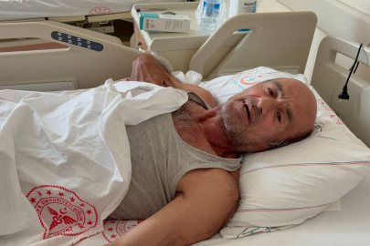 Ayı saldırısına uğradı: Canını ağaca tırmanarak kurtardı