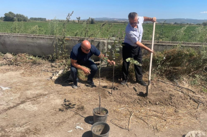 Bursa'da "Ağaççı hoca" lakaplı sınıf öğretmeninden örnek davranış
