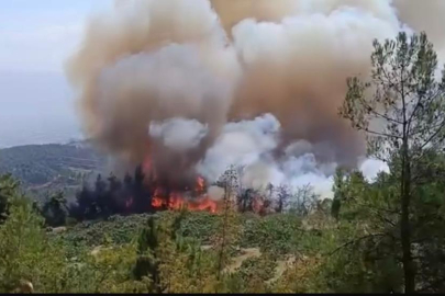 Bursa'daki orman yangını kontrol altına alındı