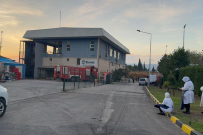 Gemlik Serbest Bölge’de çıkan yangın paniğe neden oldu