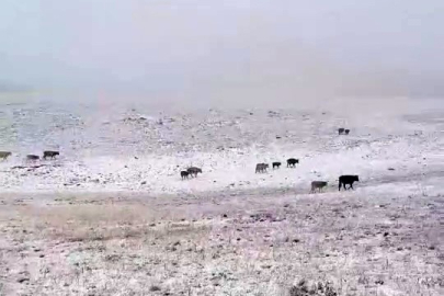 Erzurum'a mevsimin ilk karı yağdı