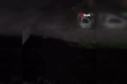 Su samurları sulama kanalında görüntülendi