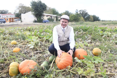 Osmangazi Belediyesi ata tohumlarını geleceğe taşıyor