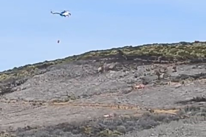 Bursa'daki orman yangını söndürüldü