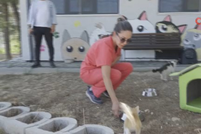 Büyükşehir'den can dostlara şefkat eli