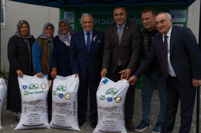 Bursa'da büyükbaşlar İtalyan çimi ile beslenecek