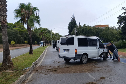 Kontrolden çıkan kamyonet palmiye ağacına çarptı