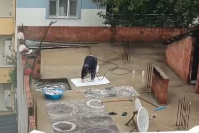 Yağmurlu havada çatıda halı yıkadı, görenler şaştı kaldı