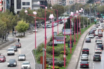 Erken teşhis için sokak lambaları pembe yanıyor