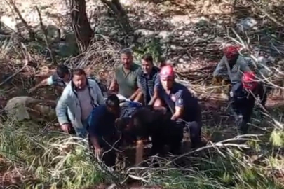 Kamyon uçuruma yuvarlandı, sürücü hayatını kaybetti
