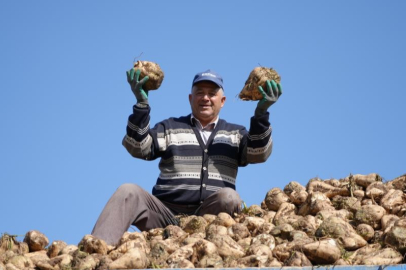 "Kuraklık nedeniyle şeker pancarı üretimini kısıtlamayacağız"