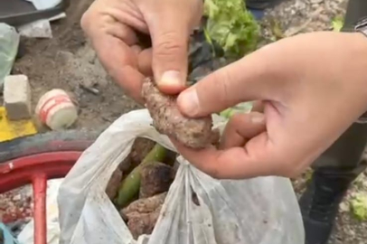 Bursaspor taraftarına bozuk köfteleri yedireceklerdi