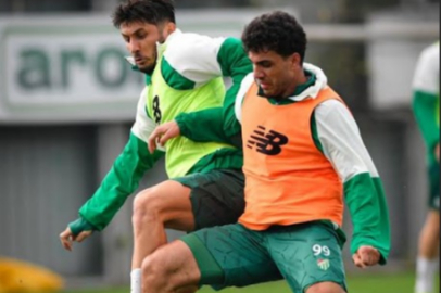 Timsah’ı beton  duvar bekliyor!