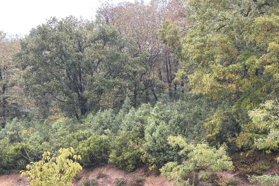 "Yüzeysel yağışlar barajlara etkili değil"