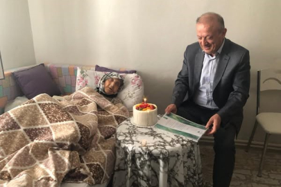 Çınara pasta: 2 Padişah, 12 cumhurbaşkanı, 27 başbakan gördü