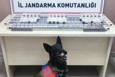 Durdurulan TIR’da 320 paket kaçak sigara ele geçirildi