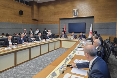 Milli Parklar’a ilişkin kanun teklifi Komisyon'da