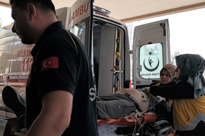 Bursa'da ağaçtan düşen adam hayatını kaybetti