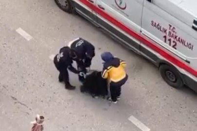 Bursa'da yolun ortasında yatan kadın, sinir krizi geçirdi