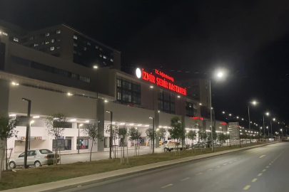 Pompalı tüfekle 3 kişiyi yaralanmıştı, azmettirici yakalandı