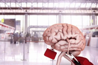 Yükseköğretim mezunlarının beyin göçü oranı yüzde 2 oldu