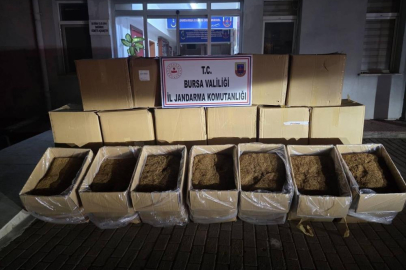 Bursa’da 750 kilogram kaçak tütün ele geçirildi