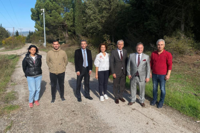 Bursa tarımına akademik bakış