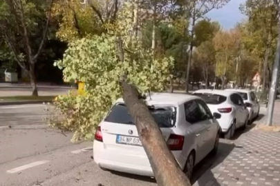 Bursa'da fırtına ağacı böyle devirdi