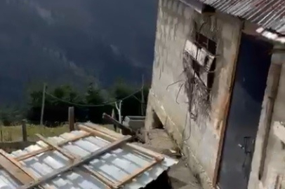 Yaylada ayı paniği: 20 ev talan edildi