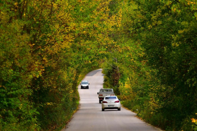 Sonbaharın renk cümbüşü Uludağ eteklerinde