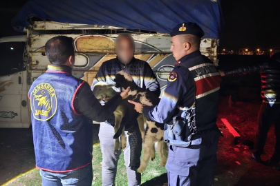 Küçükbaş hayvan çalan 4 kişiyi JASAT yakaladı