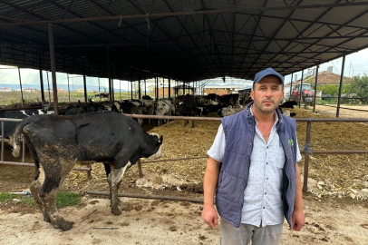 "8 buzağımızı şapa verdik"