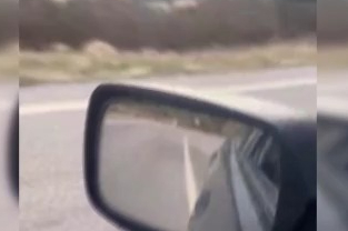 Yolda gördüğü zehirli yılanı elleriyle yakaladı