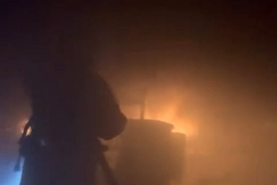 Bursa'da kuruyemiş fabrikasında korkutan yangın