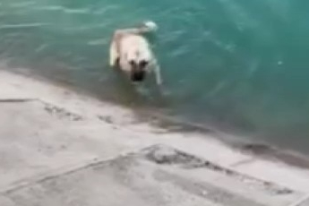 Kahraman anne Fırat'a düşen kangalı böyle kurtardı