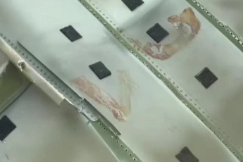 Gürcistan'da düşen TSK'ya ait kargo uçağının parçalarından yeni görüntüler