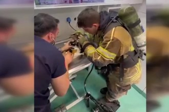 Mazgala düşen köpek itfaiyenin çabasıyla kurtarıldı