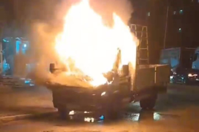 Park halindeki kamyonet alevlere teslim oldu