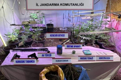 İklimlendirme yöntemiyle kenevir yetiştiren şahıs tutuklandı