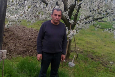 Bursa'da budadığı ağaçtan düşen adam hayatını kaybetti