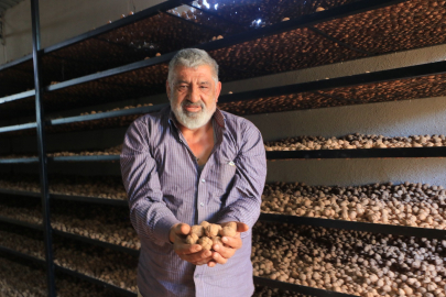 Ceviz üretimiyle Avrupa'daki maaşından daha çok kazanıyor