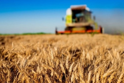 Tarım-GFE yıllık yüzde 34,60 arttı