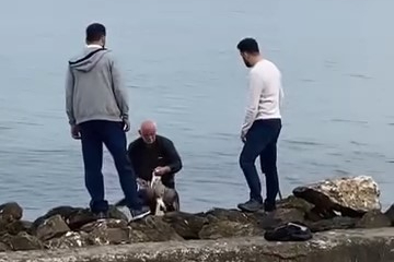 Mudanya sahilinde oltaya takılan martıyı vatandaş kurtardı