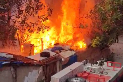 Bursa'da bahçe yangını korkuttu