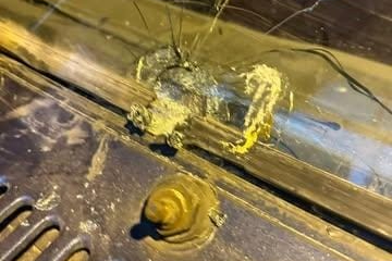 Maganda kurşunu park halindeki araca ve iş yerine isabet etti