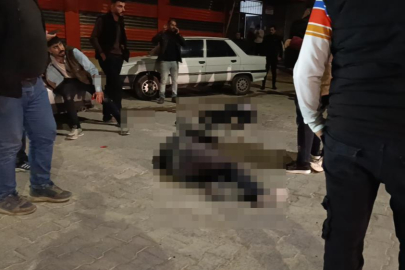 İki aile arasında silahlı kavga: 2 ölü, 2 yaralı