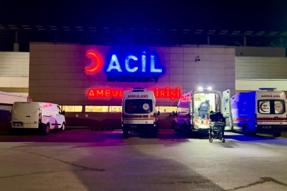 Pitbull dehşeti: Çocuğun yüzü paramparça oldu