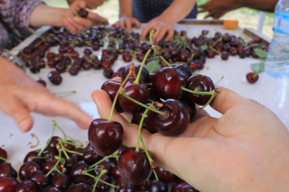 15 Aralık'ta okullarda "Coğrafi İşaret Günü" kutlanacak
