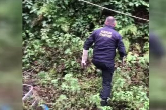 Ağaçta mahsur kalan yavru ayı, itfaiye tarafından kurtarıldı