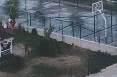 Ankara’da pitbull saldırısı sonrası tasmasız köpek tepkisi